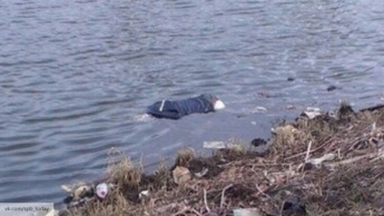 В канале под Мелитополем нашли тело неизвестной женщины