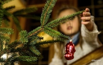 Живая или искусственная: украинцы рассказали, какую выберут елку