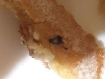 В Мелитополе в торте обнаружили таракана (фото)