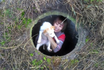 В Мелитополе развернули операцию по спасению щенка, упавшего в яму (фото)