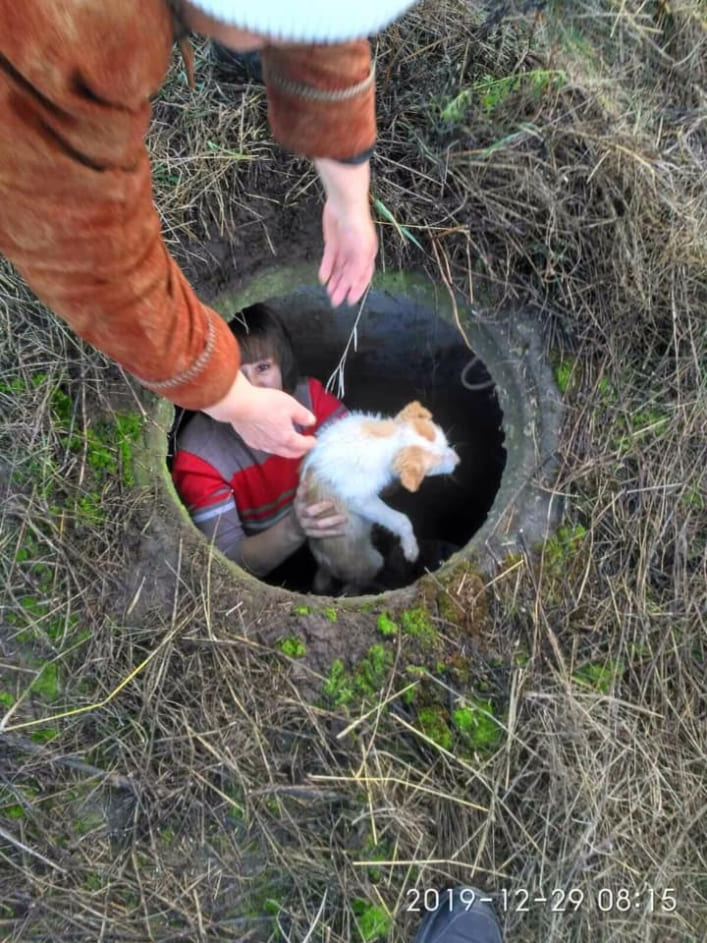 В Мелитополе развернули операцию по спасению щенка