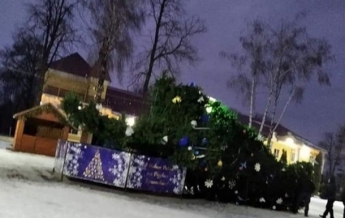 В Хмельницкой области упала главная городская елка (фото)