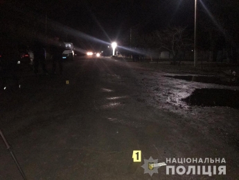В Запорожской области ищут водителя, который сбил пешехода и оставил его умирать на дороге