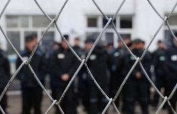 Жителя Запорожской области осудили за участие в террористической группе