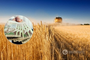 Кто сможет покупать землю и сколько: Милованов раскрыл детали резонансного законопроекта