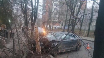 В Харькове пьяный водитель выехал на встречку и "влетел" в дерево