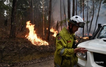 Пожары в Австралии: погибли 24 человека и почти 500 млн животных