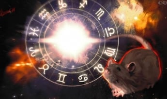 Что готовит Металлическая Крыса 12 знакам китайского гороскопа в 2020 году