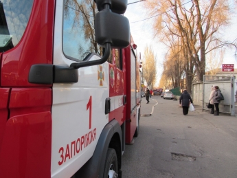 Двоих детей спасали в горящем офисе в Запорожье (фото, видео)