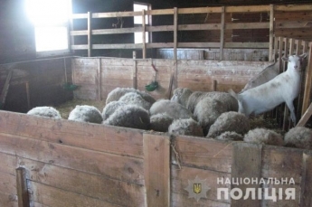 В Киевской области владелец мини-зоопарка морил зверей голодом