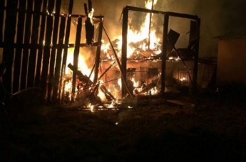 Трагедия под Одессой: в частном доме заживо сгорели два человека