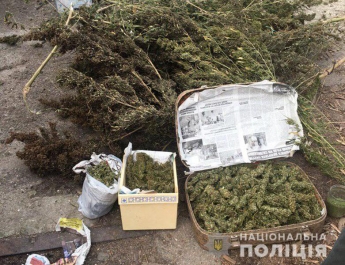 У жителя Кирилловки изъяли три килограмма наркотиков