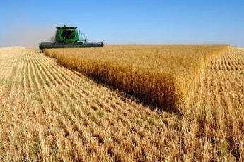Украина стала одним из крупнейших поставщиком сельхозпродукции в ЕС