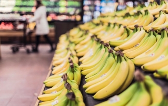 Британка купила бананы с сотней тропических пауков