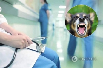 Заразила собака: в Николаевской области от бешенства умер мужчина