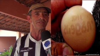 Чудо в Бразилии: курица снесла яйцо с цифрами