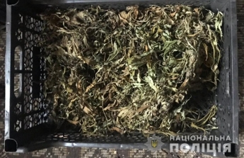 У женщины в Мелитополе нашли наркотиков на 40 тысяч гривен (фото)
