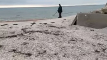 В Кирилловке море вынесло на берег монеты из прошлого (видео)