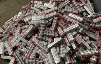 В авто с дипномерами нашли 150 тысяч пачек сигарет (фото)