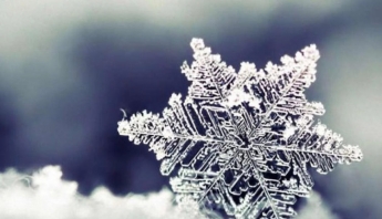 Курьезы. Жительница Запорожья нашла необычный снег в необычном месте (ФОТО)