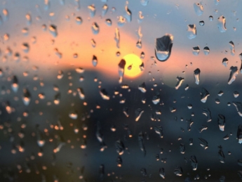 Дожди и ветер: синоптики рассказали о погоде в начале новой недели