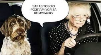 Продай собаку - заплати за газ! Запорожцы высмеяли заявление нардепа (фото)