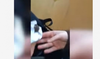Дети ловят их руками: в Луцке школа попала в скандал из-за мышей (видео)