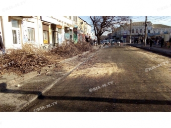 В Мелитополе все деревья вдоль улицы в исторической части города пустят «под нож» (фото)