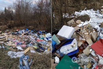 "Рога бы поотбивать!" Фото заваленной мусором столицы потрясли киевлян