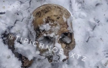 В Харькове на остановке нашли человеческий скелет. Фото 18+