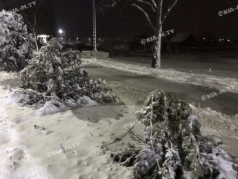 В Мелитополе елки не выдержали снегопада (фото)