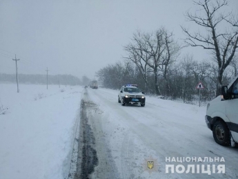 В Запорожской области водителю на заснеженной трассе стало плохо