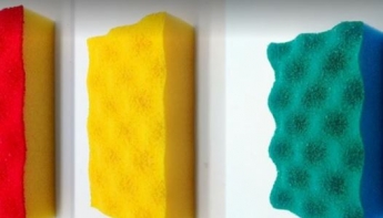 Почему губки выпускают разных цветов: чем они отличаются друг от друга