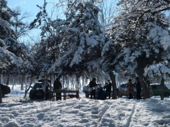 В Мелитополе в лесопарке аншлаг - народ выехал на зимний пикник (фото, видео)