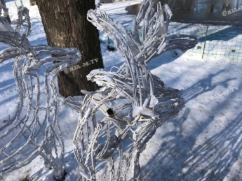 В центральном парке Мелитополя оленю обломали рога (фото)