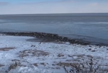 Молочный лиман достиг своих исторических берегов – это надо видеть (видео)
