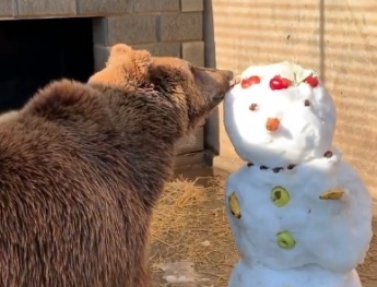 Курьезы. Медведь в Мелитополе "разбирался" со снеговиком (видео)