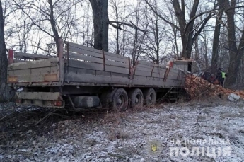 В Хмельницкой области грузовик с кирпичами влетел в дерево, есть жертва (фото)