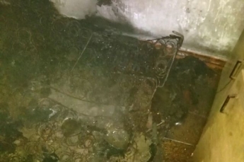 В Житомирской области произошел пожар в жилом доме: есть жертва (фото)