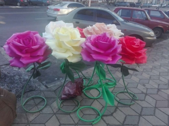 "Золотые" розы - почем сегодня цветы продают (фото)