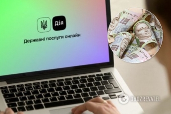 Зарплата в сотни тысяч: раскрыто "секреты" работы приложения госуслуг "Дія"