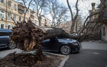 Украину накрыл разрушительный циклон: фото, видео