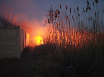 В Мелитополе огонь вплотную подобрался к домам (видео)