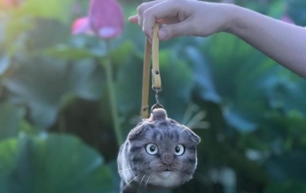 Дизайнер делает жутковатые сумки "из кошек" (фото)