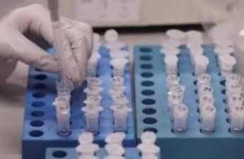 Почему мелитопольцам не стоит паниковать из-за коронавируса