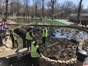 В Мелитополе в центральном парке осушили пруд (фото, видео)