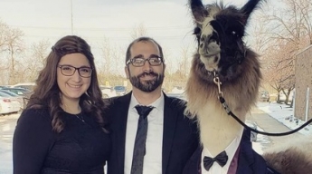 Брат годами дразнил сестру, обещая прийти на ее свадьбу с ламой - он не шутил, и даже выбрал ей костюмчик (фото)