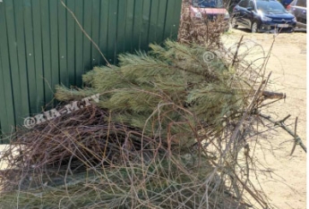Последний сдался. В Мелитополе 8 марта выбросили елку (фотофакт)