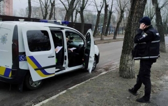 В Киеве вандалы украли из скверов 58 кустов (фото)