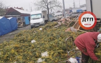 Свалку мимоз обнаружили в Киеве после 8 марта (фото)